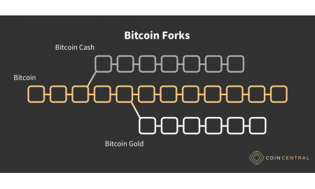 Bitcoin Gold – The Second Bitcoin Fork