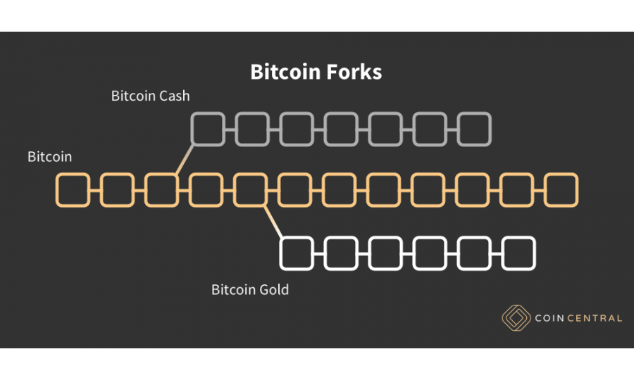 Bitcoin Gold – The Second Bitcoin Fork