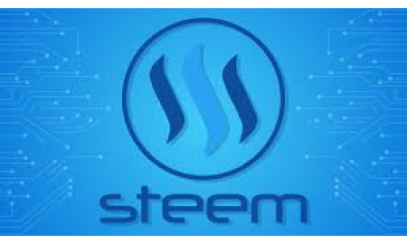 Steem – A Social Networking Platform
